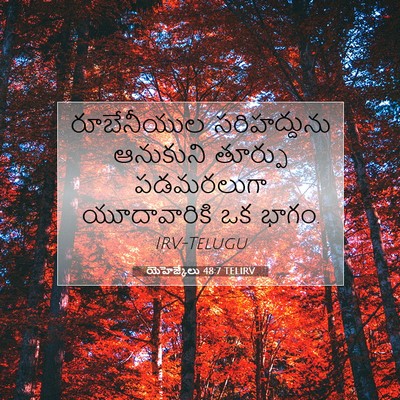 Picture 07 - యెహెజ్కేలు 48:7 TELIRV - రూబేనీయుల - Bible Verse Picture