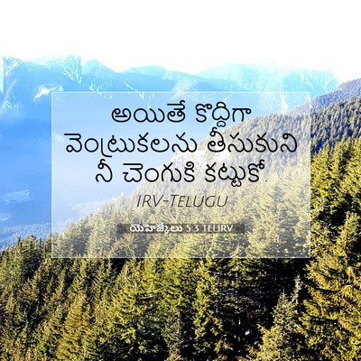 Picture 07 - యెహెజ్కేలు 5:3 TELIRV - అయితే కొద్దిగా - Bible Verse Picture