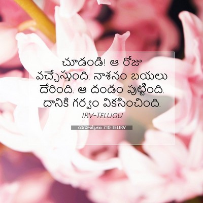 Picture 07 - యెహెజ్కేలు 7:10 TELIRV - చూడండి! ఆ రోజు - Bible Verse Picture