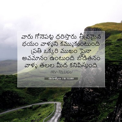 Picture 07 - యెహెజ్కేలు 7:18 TELIRV - వారు గోనెపట్ట - Bible Verse Picture