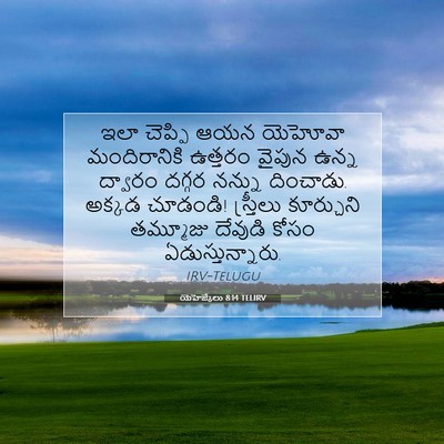 Picture 07 - యెహెజ్కేలు 8:14 TELIRV - ఇలా చెప్పి ఆయన - Bible Verse Picture