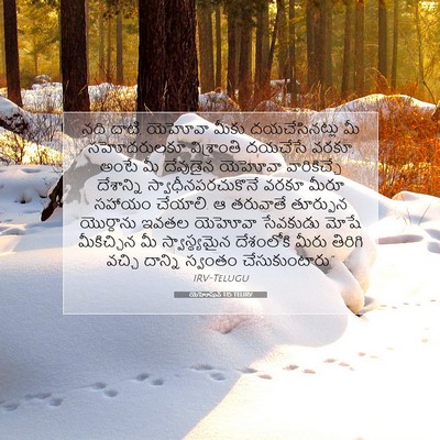 Picture 07 - యెహోషువ 1:15 TELIRV - నది దాటి, యెహోవా - Bible Verse Picture
