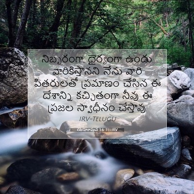 Picture 07 - యెహోషువ 1:6 TELIRV - నిబ్బరంగా, - Bible Verse Picture