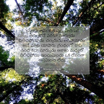 Picture 07 - యెహోషువ 10:13 TELIRV - “ప్రజలు తమ - Bible Verse Picture