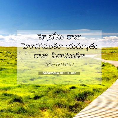 Picture 07 - యెహోషువ 10:3 TELIRV - హెబ్రోను రాజు - Bible Verse Picture