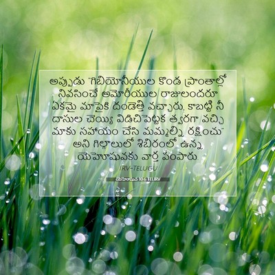 Picture 07 - యెహోషువ 10:6 TELIRV - అప్పుడు - Bible Verse Picture