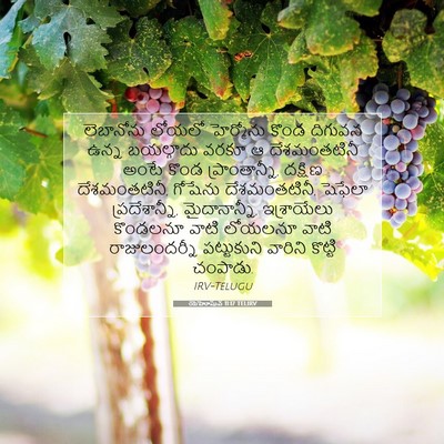 Picture 07 - యెహోషువ 11:17 TELIRV - లెబానోను లోయలో - Bible Verse Picture