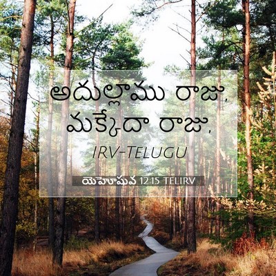 Picture 07 - యెహోషువ 12:15 TELIRV - అదుల్లాము రాజు, - Bible Verse Picture