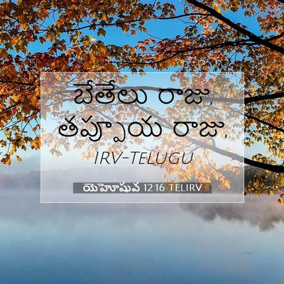Picture 07 - యెహోషువ 12:16 TELIRV - బేతేలు రాజు, - Bible Verse Picture