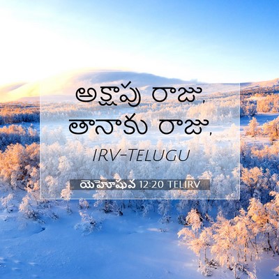 Picture 07 - యెహోషువ 12:20 TELIRV - అక్షాపు రాజు, - Bible Verse Picture
