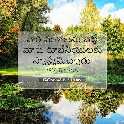 Picture 07 - యెహోషువ 13:15 TELIRV - వారి వంశాలను - Bible Verse Picture