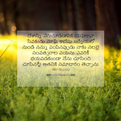 Picture 07 - యెహోషువ 14:7 TELIRV - దేశాన్ని - Bible Verse Picture