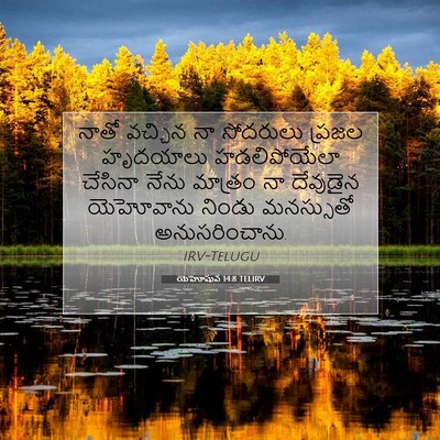 Picture 07 - యెహోషువ 14:8 TELIRV - నాతో వచ్చిన నా - Bible Verse Picture