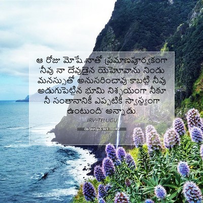 Picture 07 - యెహోషువ 14:9 TELIRV - ఆ రోజు మోషే నాతో - Bible Verse Picture