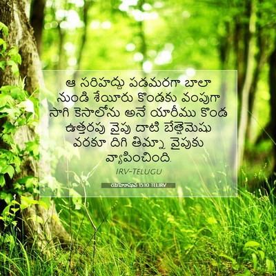 Picture 07 - యెహోషువ 15:10 TELIRV - ఆ సరిహద్దు పడమరగా - Bible Verse Picture