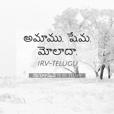 Picture 07 - యెహోషువ 15:26 TELIRV - అమాము, షేమ, - Bible Verse Picture