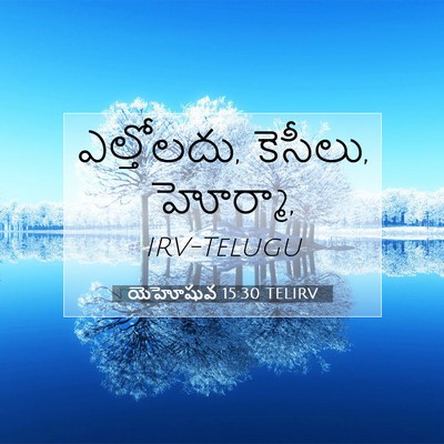Picture 07 - యెహోషువ 15:30 TELIRV - ఎల్తోలదు, కెసీలు, - Bible Verse Picture