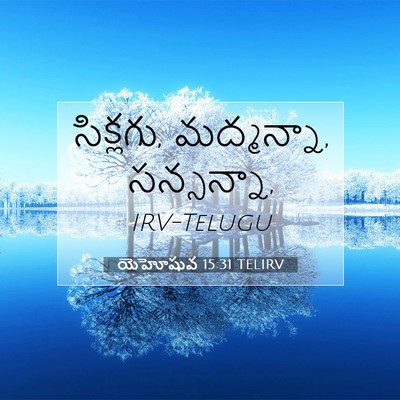Picture 07 - యెహోషువ 15:31 TELIRV - సిక్లగు, మద్మన్నా, - Bible Verse Picture