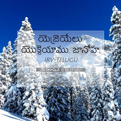 Picture 07 - యెహోషువ 15:56 TELIRV - యెజ్రెయేలు, - Bible Verse Picture