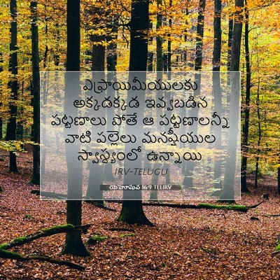 Picture 07 - యెహోషువ 16:9 TELIRV - ఎఫ్రాయిమీయులకు - Bible Verse Picture
