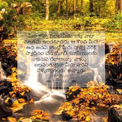 Picture 07 - యెహోషువ 17:18 TELIRV - మీది గొప్ప బలం. - Bible Verse Picture