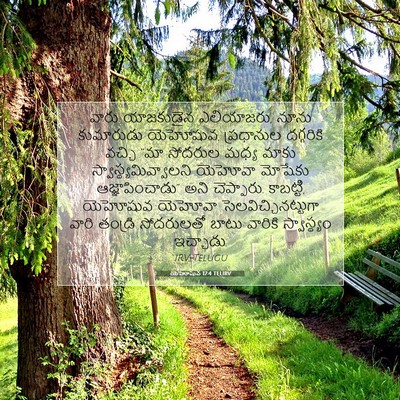 Picture 07 - యెహోషువ 17:4 TELIRV - వారు యాజకుడైన - Bible Verse Picture