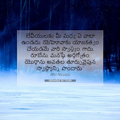 Picture 07 - యెహోషువ 18:7 TELIRV - లేవీయులకు మీ మధ్య - Bible Verse Picture