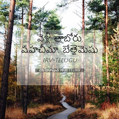 Picture 07 - యెహోషువ 19:21 TELIRV - వెళ్లి తాబోరు, - Bible Verse Picture