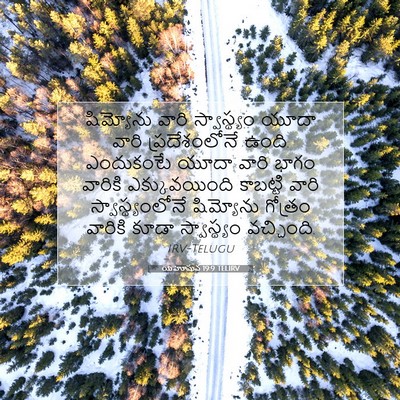 Picture 07 - యెహోషువ 19:9 TELIRV - షిమ్యోను వారి - Bible Verse Picture
