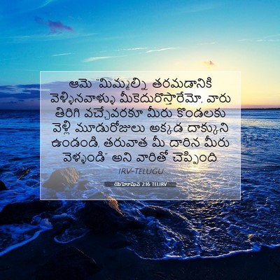 Picture 07 - యెహోషువ 2:16 TELIRV - ఆమె “మిమ్మల్ని - Bible Verse Picture