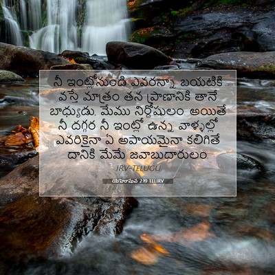 Picture 07 - యెహోషువ 2:19 TELIRV - నీ ఇంట్లోనుండి - Bible Verse Picture