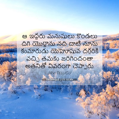 Picture 07 - యెహోషువ 2:23 TELIRV - ఆ ఇద్దరు మనుషులు - Bible Verse Picture