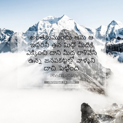 Picture 07 - యెహోషువ 2:6 TELIRV - అంతకుముందు ఆమె ఆ - Bible Verse Picture
