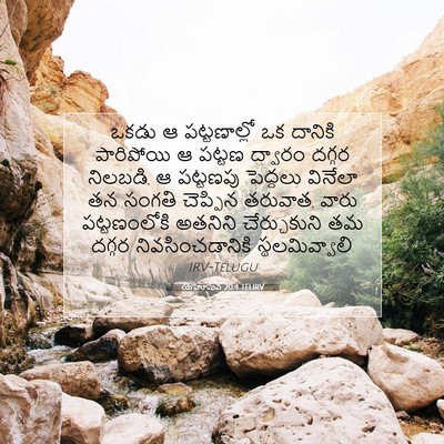 Picture 07 - యెహోషువ 20:4 TELIRV - ఒకడు ఆ పట్టణాల్లో - Bible Verse Picture