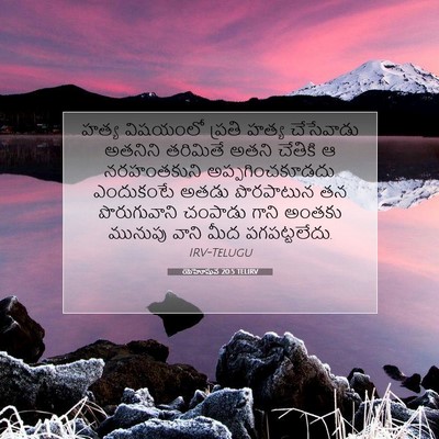 Picture 07 - యెహోషువ 20:5 TELIRV - హత్య విషయంలో - Bible Verse Picture