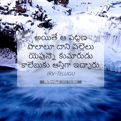 Picture 07 - యెహోషువ 21:12 TELIRV - అయితే ఆ పట్టణ - Bible Verse Picture