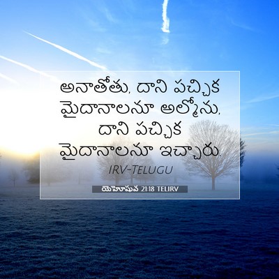 Picture 07 - యెహోషువ 21:18 TELIRV - అనాతోతు, దాని - Bible Verse Picture