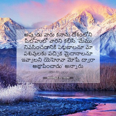 Picture 07 - యెహోషువ 21:2 TELIRV - అప్పుడు వారు - Bible Verse Picture