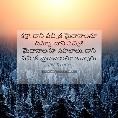 Picture 07 - యెహోషువ 21:35 TELIRV - కర్తా, దాని పచ్చిక - Bible Verse Picture