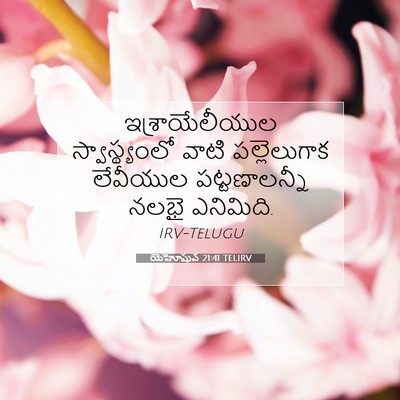 Picture 07 - యెహోషువ 21:41 TELIRV - ఇశ్రాయేలీయుల - Bible Verse Picture