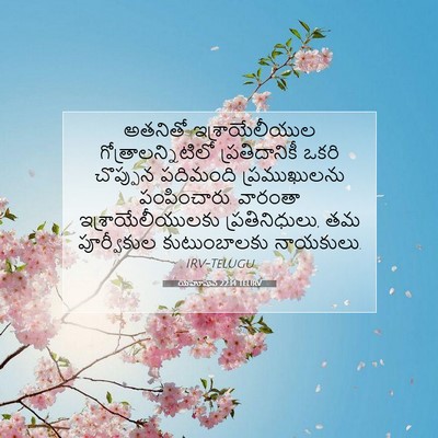 Picture 07 - యెహోషువ 22:14 TELIRV - అతనితో - Bible Verse Picture