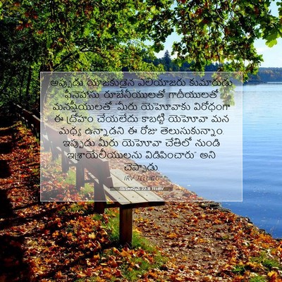 Picture 07 - యెహోషువ 22:31 TELIRV - అప్పుడు యాజకుడైన - Bible Verse Picture