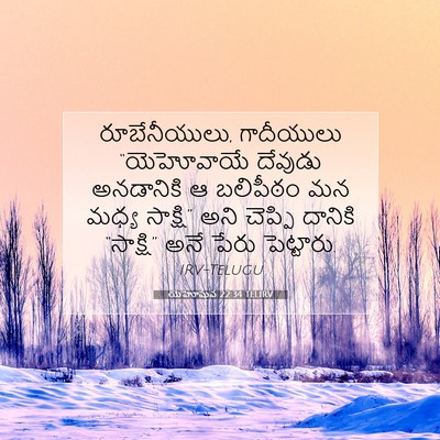 Picture 07 - యెహోషువ 22:34 TELIRV - రూబేనీయులు, - Bible Verse Picture