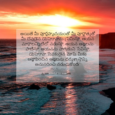 Picture 07 - యెహోషువ 22:5 TELIRV - అయితే మీ - Bible Verse Picture