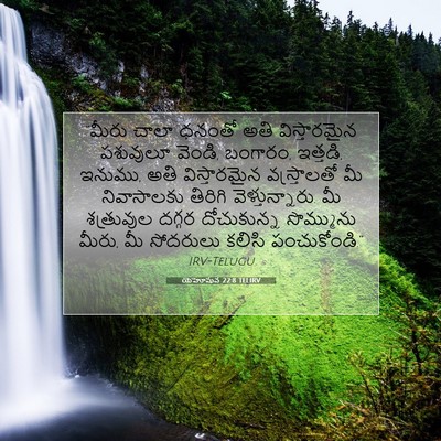 Picture 07 - యెహోషువ 22:8 TELIRV - “మీరు చాలా ధనంతో - Bible Verse Picture