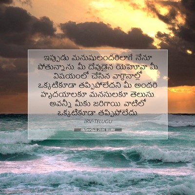 Picture 07 - యెహోషువ 23:14 TELIRV - ఇప్పుడు - Bible Verse Picture