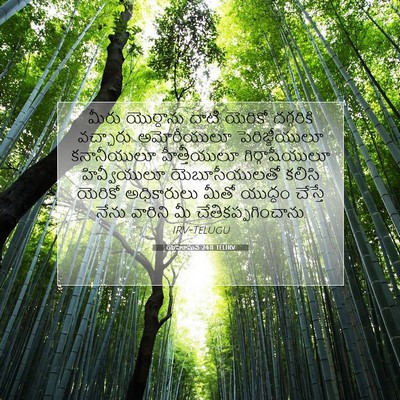 Picture 07 - యెహోషువ 24:11 TELIRV - మీరు యొర్దాను - Bible Verse Picture