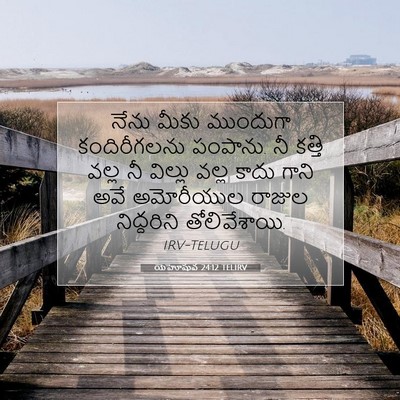 Picture 07 - యెహోషువ 24:12 TELIRV - నేను మీకు ముందుగా - Bible Verse Picture