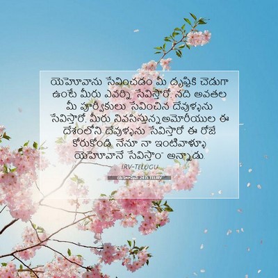 Picture 07 - యెహోషువ 24:15 TELIRV - యెహోవాను సేవించడం - Bible Verse Picture