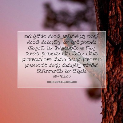 Picture 07 - యెహోషువ 24:17 TELIRV - ఐగుప్తుదేశం - Bible Verse Picture